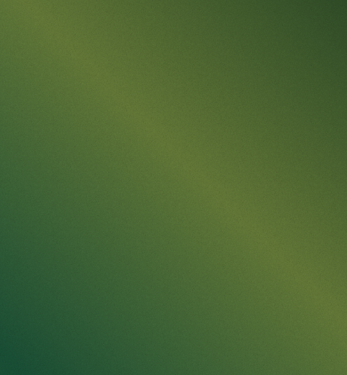 current wallpaper (2)