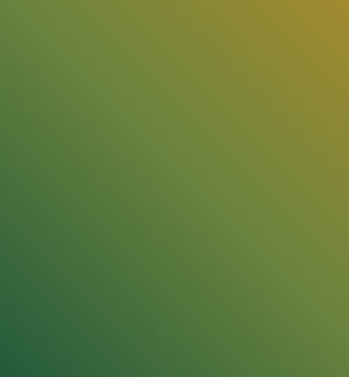 generic mobile portrait wallpaper